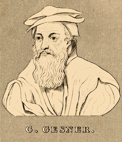 جيزنر ، 1516-1565 ، 1830. بواسطة غير معروف