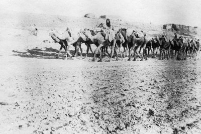 قطار الجمال ، الموصل ، بلاد الرافدين ، 1918 بواسطة غير معروف