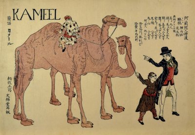 الجمال مع معالجات هولنديين ، كاليفورنيا. 1821. بواسطة غير معروف