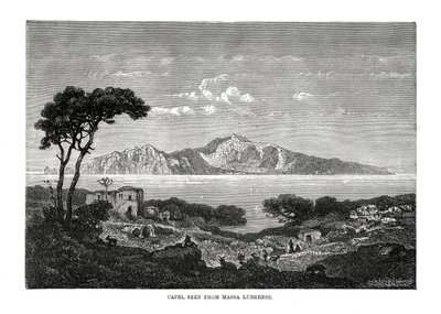 رأيت كابري من ماسا لوبرينس ، إيطاليا ، 1879 بواسطة غير معروف