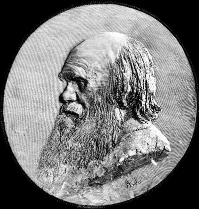 تشارلز داروين ، 1882 بواسطة غير معروف