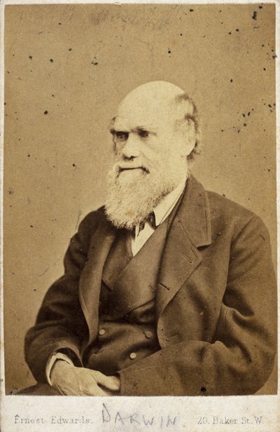 تشارلز داروين ، عالم الطبيعة الإنجليزي ، عام 1870 بواسطة غير معروف