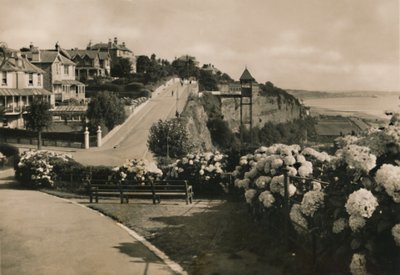 طريق كليف ، شانكلين ، آي دبليو ، c1920. بواسطة غير معروف