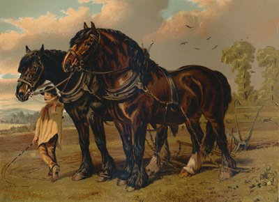 Clydesdale Stallion & Mare ، c1879. بواسطة غير معروف