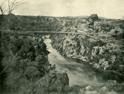 كورا لين ، بالقرب من لونسيستون ، 1901. بواسطة غير معروف