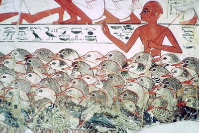 عد الأوز: جزء من لوحة جدارية من مقبرة نيب آمون ، طيبة ، مصر ، حوالي 1350 قبل الميلاد. بواسطة غير معروف