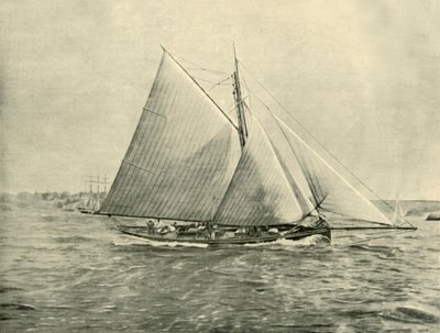 الإبحار في بورت جاكسون ، 1901. بواسطة غير معروف