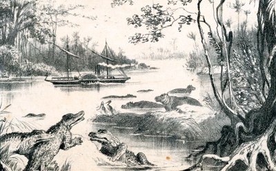ديفيد ليفينغستون يتنقل في زامبيزي ، إفريقيا ، 1852-1864 c1878 بواسطة غير معروف