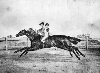 الحرارة الميتة بين Lanercost و Beeswing ، 1835-1850 ، 1911 بواسطة غير معروف
