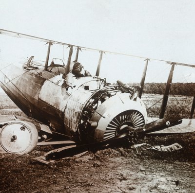 طيار ميت في إسقاط طائرة سلمسون ، c1914-c1918 بواسطة غير معروف