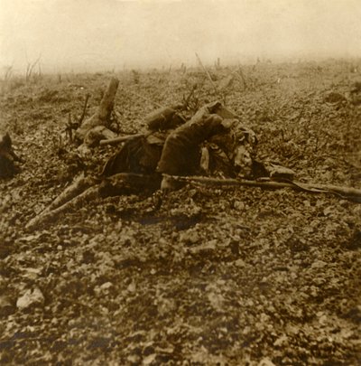 جندي ميت في هيل 304 ، بعد معركة فردان ، شمال فرنسا ، 1916 بواسطة غير معروف