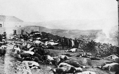الدفاع عن قلعة راشيا ، التمرد الدرزي ، جبل الدروز ، سوريا ، 1925 بواسطة غير معروف