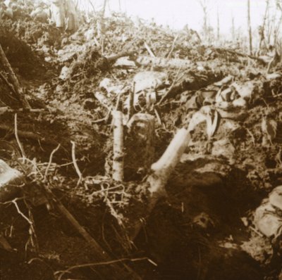 الملجأ المدمر ، ليه Éparges ، شمال فرنسا ، 1915. بواسطة غير معروف