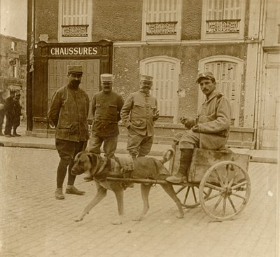 عربة الكلب ، فرنسا ، c1914-c1918 بواسطة غير معروف