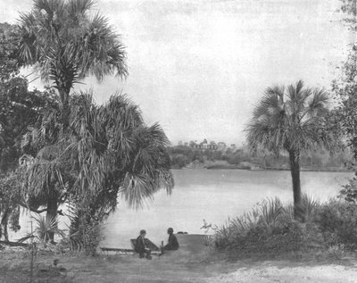 Eau Gallie ، Indian River ، فلوريدا ، الولايات المتحدة الأمريكية ، c1900. بواسطة غير معروف