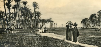 مصر - نساء أصليات ، c1918-c1939. بواسطة غير معروف