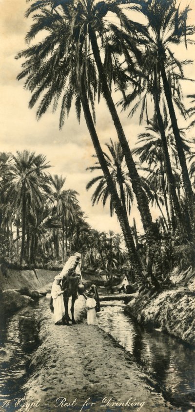 مصر - الراحة للشرب ، c1918-c1939. بواسطة غير معروف