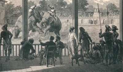 قتال الفيل في بارودا ، 1896 بواسطة غير معروف