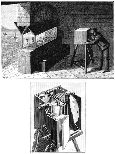 إتيان جول ماري 1830-1903 ، بكاميرا سينمائية 1903 بواسطة غير معروف