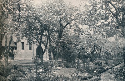 مثال على حديقة البستان ، التي وضعها وليام موريس في الأصل ، c1900 بواسطة غير معروف