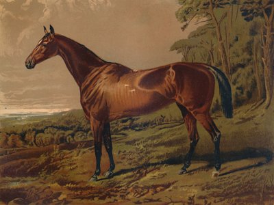 فير نيل ، c1879. بواسطة غير معروف