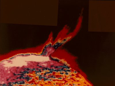 صورة ملونة زائفة للتوهج الشمسي من Skylab ، 1973 بواسطة غير معروف