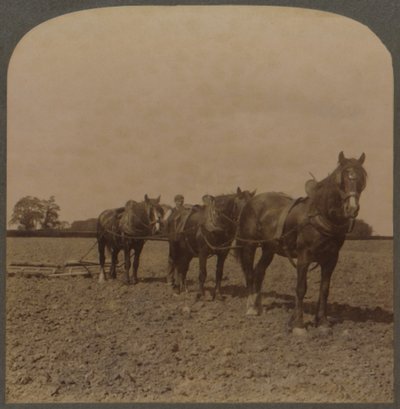 الزراعة في إنجلترا - Harrowing the Land ، 1909. بواسطة غير معروف