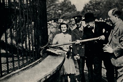 تغذية روتا ، الأسد بينر ، 1940s ، 1945. بواسطة غير معروف