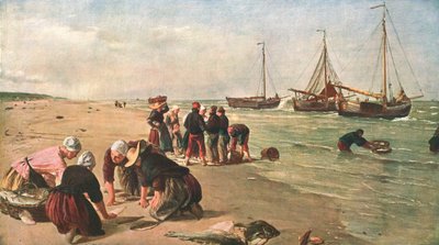 أسماك من بنك دوجر ، شيفينينغن ، هولندا ، 1870 ، c1902. بواسطة غير معروف
