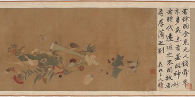 الزهور والفاكهة والأصداف والحشرات ، 1368-1644. بواسطة غير معروف