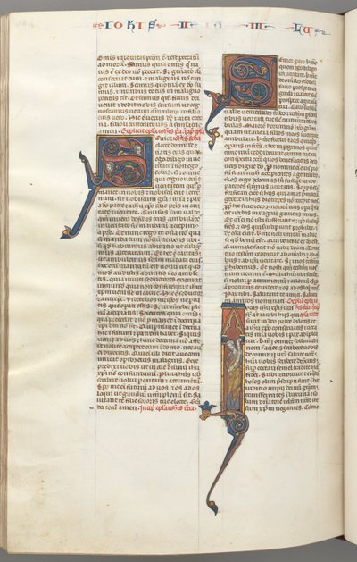 فول. 481v ، جود ، تاريخ مبدئي الأول ، جود واقفا مع التمرير ، ج. 1275-1300. بواسطة غير معروف