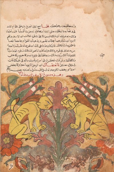 فوليو من كليلة ودمنة ، القرن الثامن عشر. بواسطة غير معروف