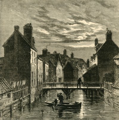 فولي ديتش ، جزيرة جاكوبس ، c1878. بواسطة غير معروف