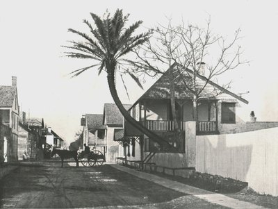 شارع فرانسيس ، سانت أوغسطين ، الولايات المتحدة الأمريكية ، 1895. بواسطة غير معروف