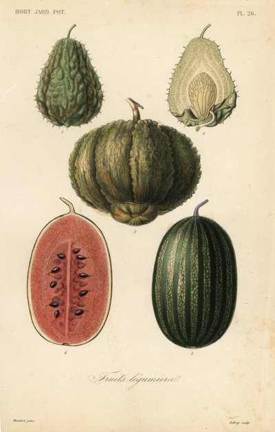 Fruits, fruits legumieres بواسطة غير معروف