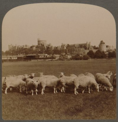 منظر عام لقلعة وندسور ، إنجلترا ، 1896. بواسطة غير معروف