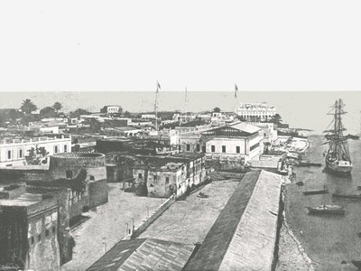 منظر عام للعاصمة ، زنجبار ، 1895. بواسطة غير معروف