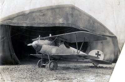 جيرمان الباتروس DV ، سويلي ، فرنسا ، 2 يناير 1918 بواسطة غير معروف