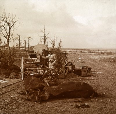 مركبة تجرها الخيول الألمانية ، تاهور ، شمال فرنسا ، c1914-c1918 بواسطة غير معروف