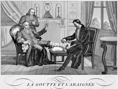 النقرس والعنكبوت ، c1835 بواسطة غير معروف