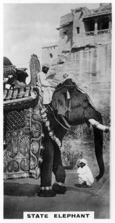 فيل حكومي في زي الدولة ، جنوب الهند ، c1925 بواسطة غير معروف