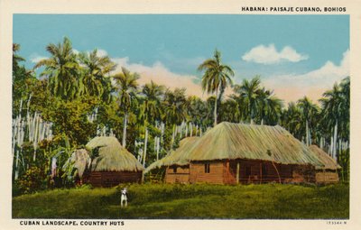 هافانا: المناظر الطبيعية الكوبية ، Bohios. المناظر الطبيعية الكوبية ، أكواخ البلد ، c1910 بواسطة غير معروف