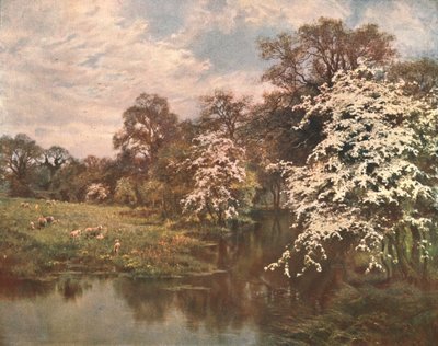 أزهار الزعرور ، c1899 ، c1902. بواسطة غير معروف