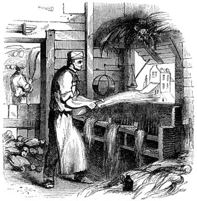 القنب هيكلنج ، 1866 بواسطة غير معروف