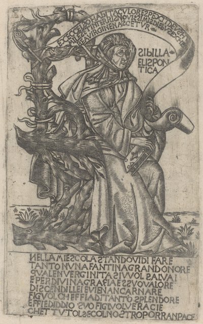 Hellespontine Sibyl ، أوائل القرن الخامس عشر. بواسطة غير معروف