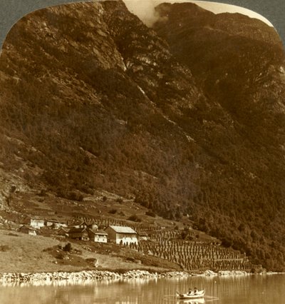 مزرعة Hogrending ، التي تقع في قاعدة الجبال ، على الشاطئ E. من بحيرة Loen ، النرويج ، c1905. بواسطة غير معروف