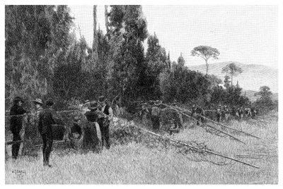 هوب بيك بالقرب من Bairnsdale ، أستراليا ، 1886 بواسطة غير معروف