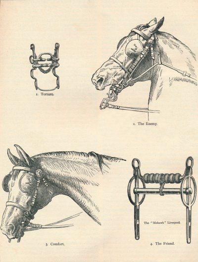بت الحصان ، جيد وسيئ ، c1909 c1910 بواسطة غير معروف