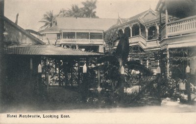 فندق ماندفيل ، النظر إلى الشرق ، جامايكا ، c1913. بواسطة غير معروف