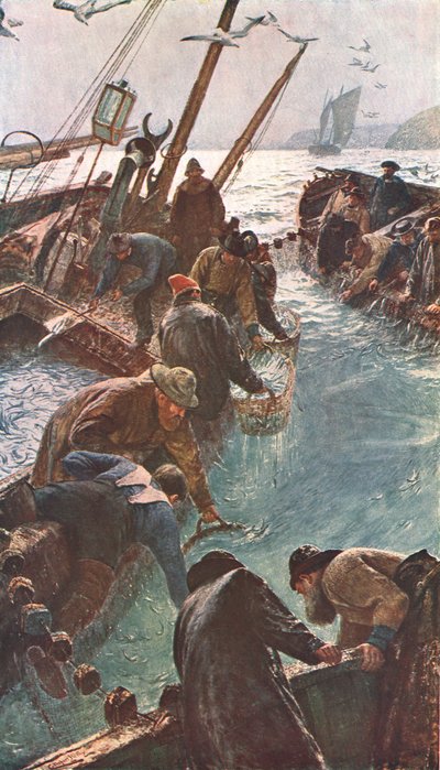 كيف أمسكنا بالبلشار ، 1895 ، c1902. بواسطة غير معروف